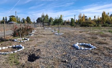 Parcela de Media Hectárea, en Sector Cerrillos, Longavi