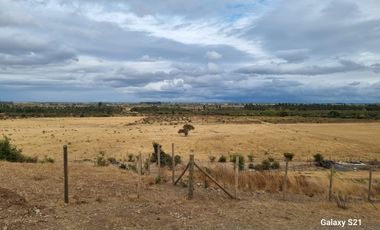 HERMOSAS PARCELAS EN SAN NICOLAS -CHILLAN