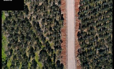 Venta de parcelas en Ñuble – Camino a Portezuelo, a 30 min d