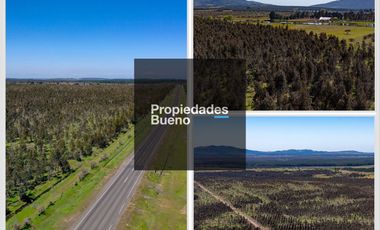 Venta de parcelas en Ñuble – Camino a Portezuelo, a 30 min d