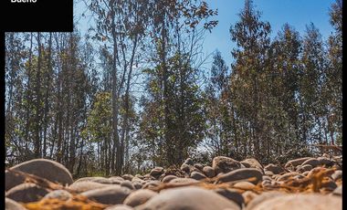 Venta de parcelas en Ñuble – Camino a Portezuelo, a 30 min d
