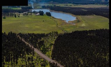 Venta de parcelas en Ñuble – Camino a Portezuelo, a 30 min d