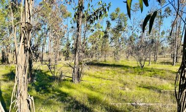 Parcelas planas a 35 minutos de Pichilemu frente a viña