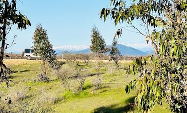 Parcelas planas a 35 minutos de Pichilemu frente a viña