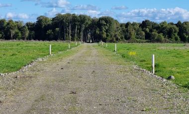 HERMOSAS PARCELAS CAMINO KM17 CATO - CHILLÁN
