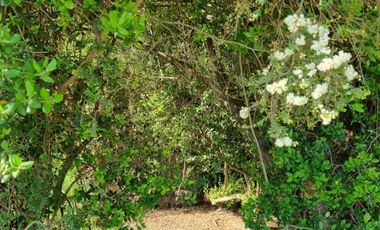 HERMOSAS PARCELAS CAMINO KM17 CATO - CHILLÁN