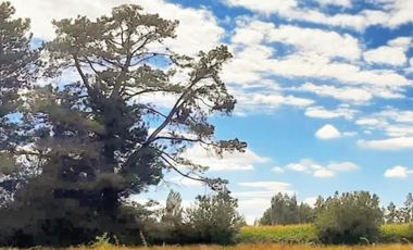 Vende Parcelas en Los Ángeles, Condominio Sustentables .