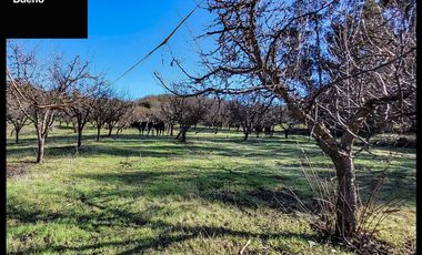 Venta de Parcelas en La Estrella a 5 min del Centro - Chile