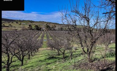 Venta de Parcelas en La Estrella a 5 min del Centro - Chile