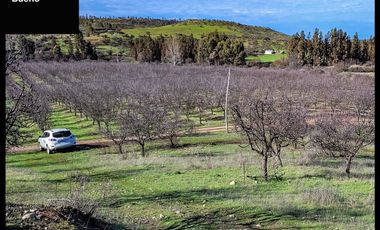 Venta de Parcelas en La Estrella a 5 min del Centro - Chile