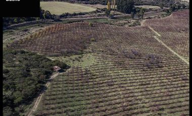 Venta de Parcelas en La Estrella a 5 min del Centro - Chile