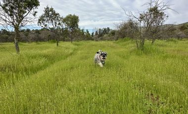 Parcelas planas a 2 horas de Santiago crédito directo