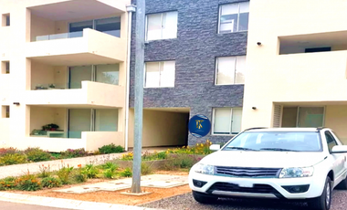 ALGARROBO, JARDINES DE LA CANDELARIA