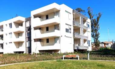 ALGARROBO, JARDINES DE LA CANDELARIA