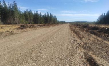 PARCELAS CON LUZ CAMINO A PORTEZUELO , CHILLAN