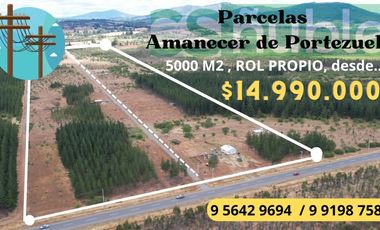 PARCELAS CON LUZ CAMINO A PORTEZUELO , CHILLAN