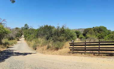 Parcela en sector la Pitigua, camino a Constitución