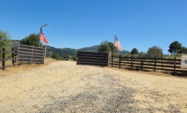 Parcela en sector la Pitigua, camino a Constitución