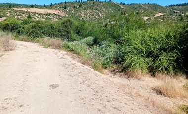 Parcela en sector la Pitigua, camino a Constitución