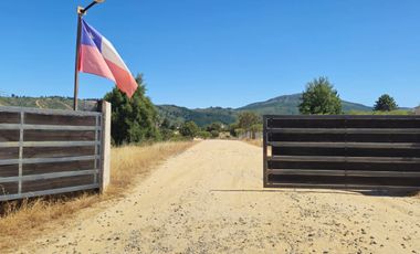 Parcela en sector la Pitigua, camino a Constitución
