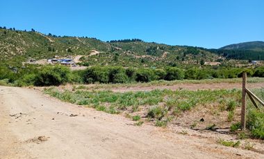 Parcela en sector la Pitigua, camino a Constitución