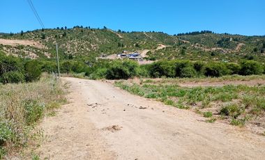 Parcela en sector la Pitigua, camino a Constitución
