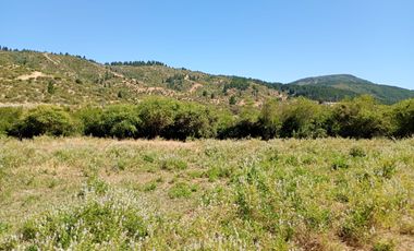 Parcela en sector la Pitigua, camino a Constitución