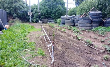 FOCOLARE PROPIEDADES ARRIENDA TERRENO