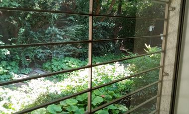 CAM. LAS FLORES/CAMINO OTOÑAL DOMINICOS ANTIGUOS