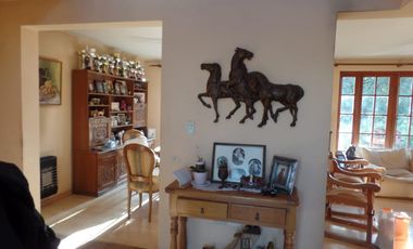 CAM. LAS FLORES/CAMINO OTOÑAL DOMINICOS ANTIGUOS