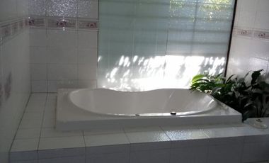 CAM. LAS FLORES/CAMINO OTOÑAL DOMINICOS ANTIGUOS