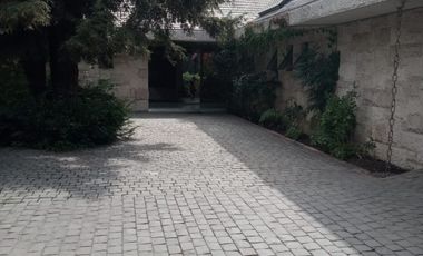 CAM. LAS FLORES/CAMINO OTOÑAL DOMINICOS ANTIGUOS