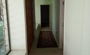 CAM. LAS FLORES/CAMINO OTOÑAL DOMINICOS ANTIGUOS