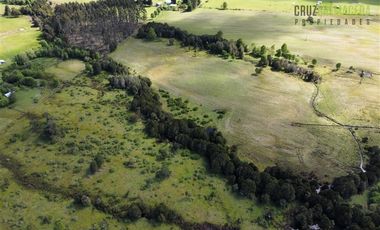 Agrícola en Venta en A 8 km de Los Muermos y 2 km de Cañitas