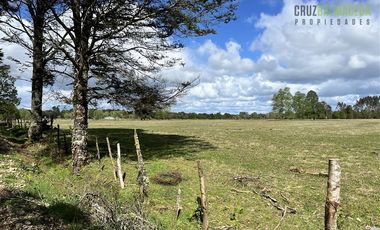 Agrícola en Venta en A 8 km de Los Muermos y 2 km de Cañitas