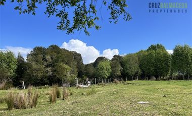 Agrícola en Venta en A 8 km de Los Muermos y 2 km de Cañitas