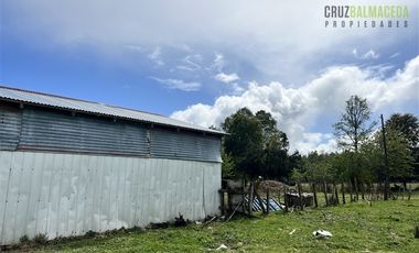 Agrícola en Venta en A 8 km de Los Muermos y 2 km de Cañitas