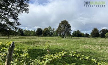 Agrícola en Venta en A 8 km de Los Muermos y 2 km de Cañitas