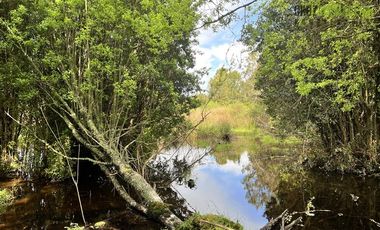 Agrícola en Venta en A 8 km de Los Muermos y 2 km de Cañitas