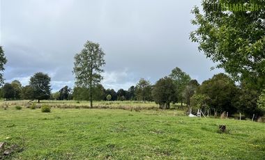 Agrícola en Venta en A 8 km de Los Muermos y 2 km de Cañitas