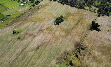 Agrícola en Venta en A 8 km de Los Muermos y 2 km de Cañitas