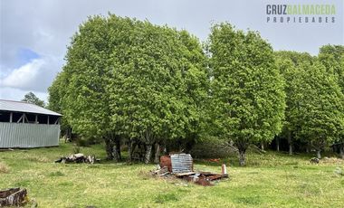 Agrícola en Venta en A 8 km de Los Muermos y 2 km de Cañitas