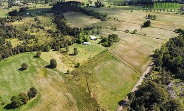 Agrícola en Venta en A 8 km de Los Muermos y 2 km de Cañitas