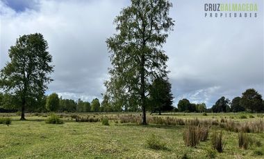 Agrícola en Venta en A 8 km de Los Muermos y 2 km de Cañitas