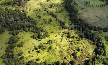 Agrícola en Venta en A 8 km de Los Muermos y 2 km de Cañitas