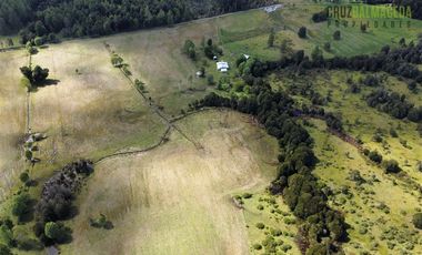 Agrícola en Venta en A 8 km de Los Muermos y 2 km de Cañitas