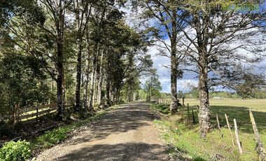 Agrícola en Venta en A 8 km de Los Muermos y 2 km de Cañitas