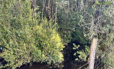 Agrícola en Venta en A 8 km de Los Muermos y 2 km de Cañitas