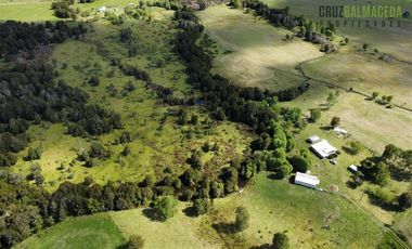 Agrícola en Venta en A 8 km de Los Muermos y 2 km de Cañitas