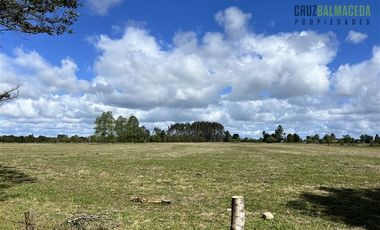 Agrícola en Venta en A 8 km de Los Muermos y 2 km de Cañitas